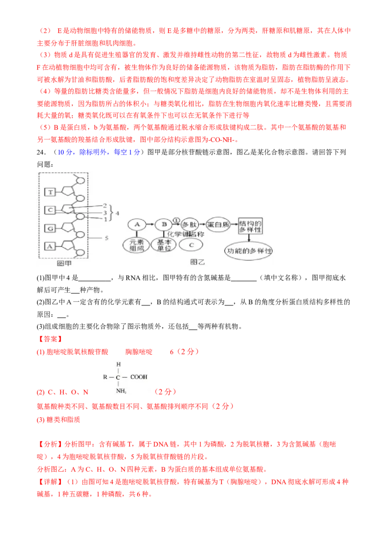 第一单元细胞的概述及其组成分子（测试）（解析版）_2025年新高考资料_一轮复习_2025年高考生物一轮复习讲练测（新教材新高考）