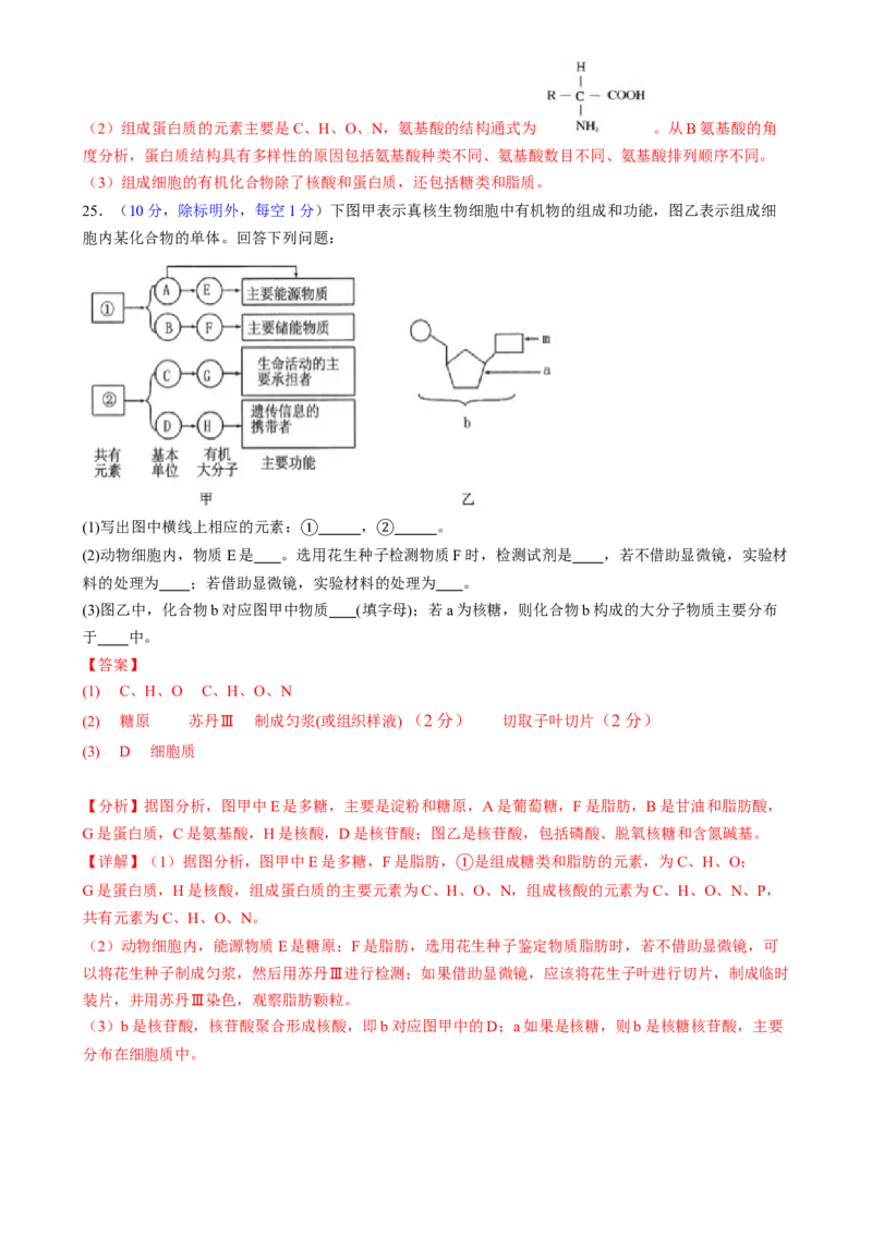 第一单元细胞的概述及其组成分子（测试）（解析版）_2025年新高考资料_一轮复习_2025年高考生物一轮复习讲练测（新教材新高考）
