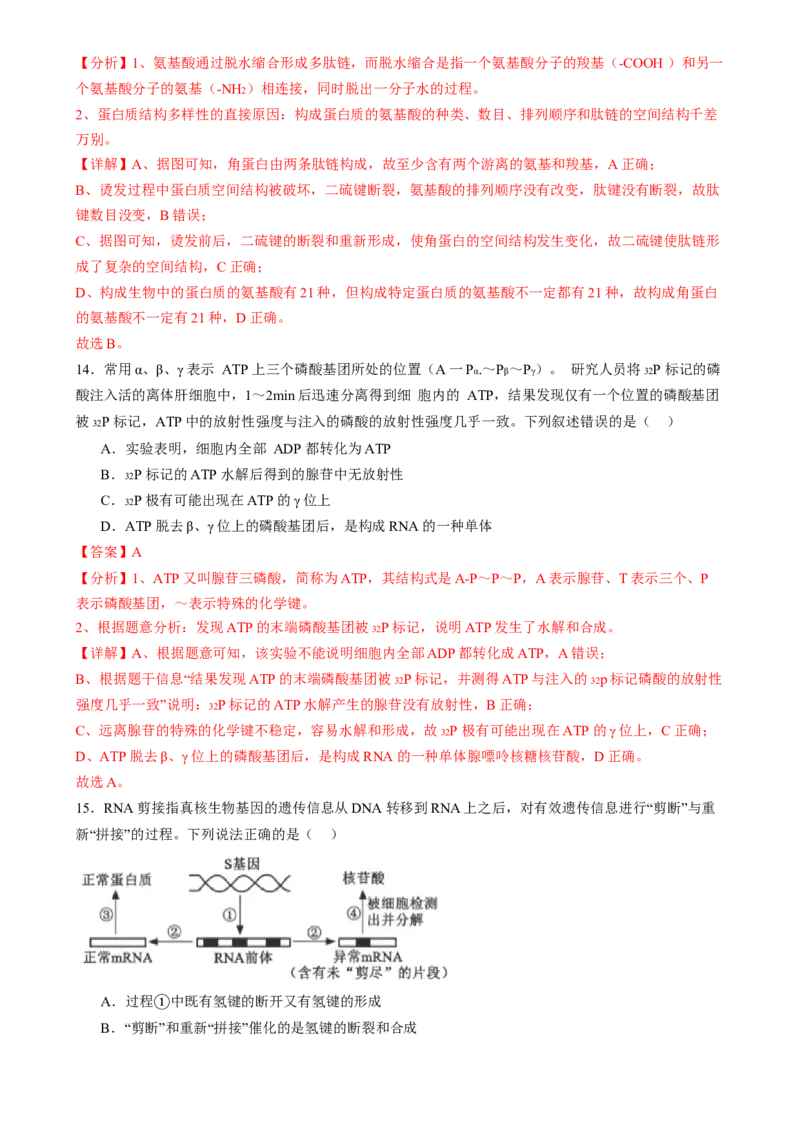 第一单元细胞的概述及其组成分子（测试）（解析版）_2025年新高考资料_一轮复习_2025年高考生物一轮复习讲练测（新教材新高考）