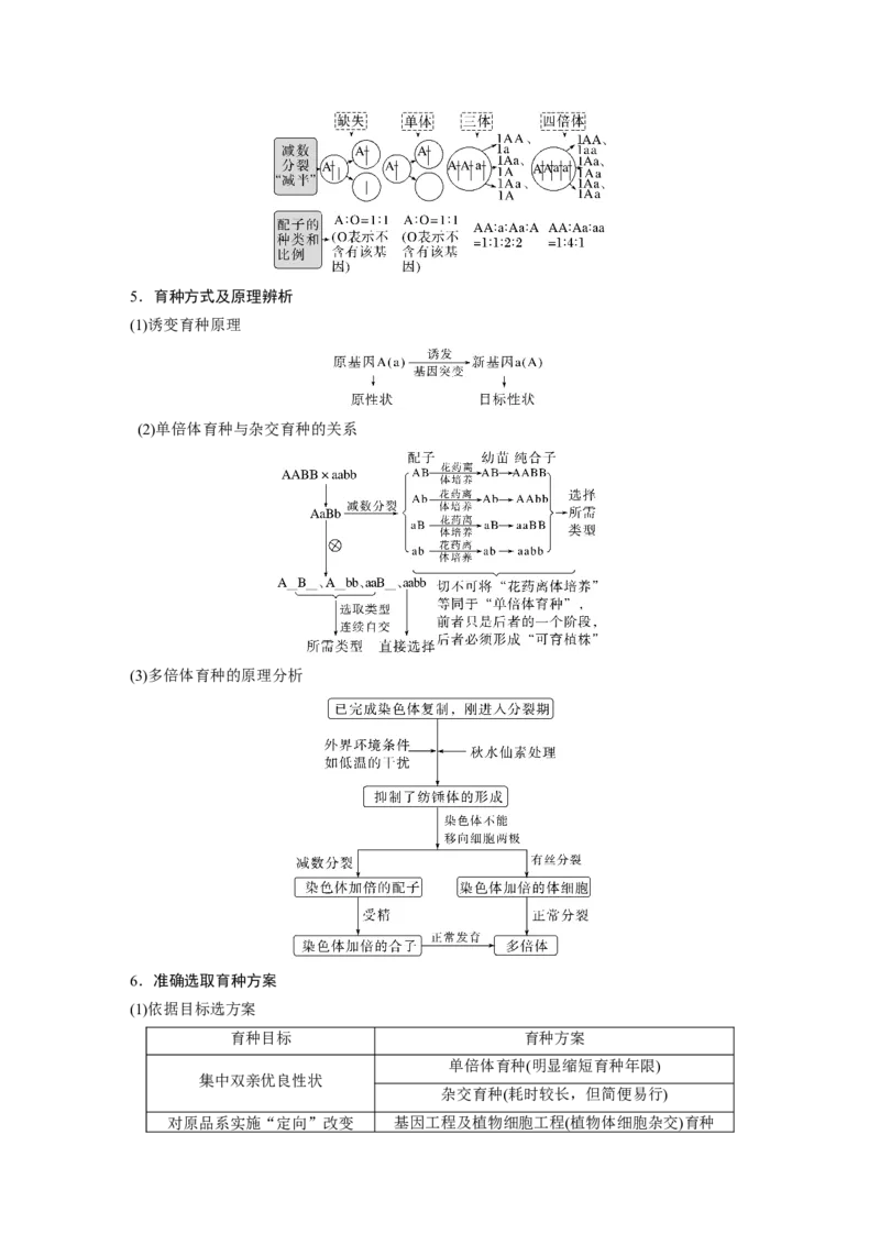 第一篇专题五考点二　可遗传变异与育种_通用版（老高考）复习资料_2023年复习资料_二轮复习_2023年高考生物二轮复习讲义+课件（全国版）_2023年高考生物二轮复习讲义（全国版）_学生版