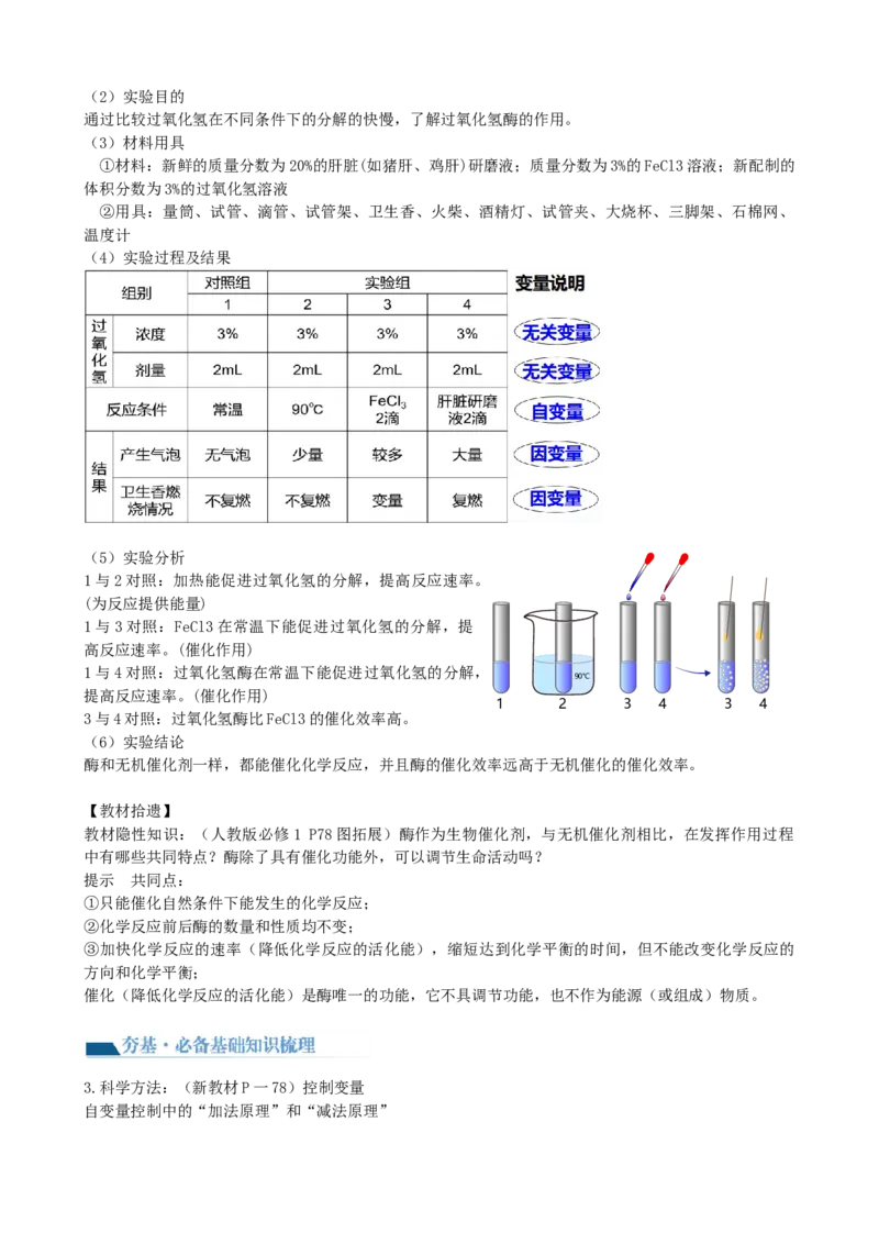 第8讲酶和ATP（讲义）（教师版）_新高考复习资料_2024年新高考复习资料_一轮复习资料_完2024年高考生物一轮复习讲练测(课件+讲义+练习)（新高考）_讲义+练习_第8讲酶和ATP（讲义）