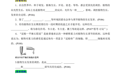 第5章植物生命活动的调节（填空版）_2025年新高考资料_专项复习_晨读晚默备战2025年高考生物必背知识清单_第5章植物生命活动的调节-晨读晚默备战2025年高考生物必背知识清单
