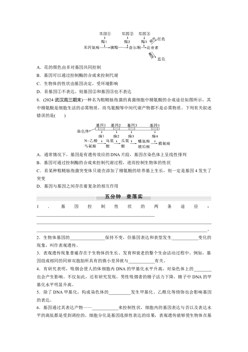 第六单元　第32课时　基因表达与性状的关系_2025年新高考资料_一轮复习_2025大一轮复习讲义+课件（完结）_2025大一轮复习讲义生物学生用书Word版文档整书_2025大一轮复习讲义