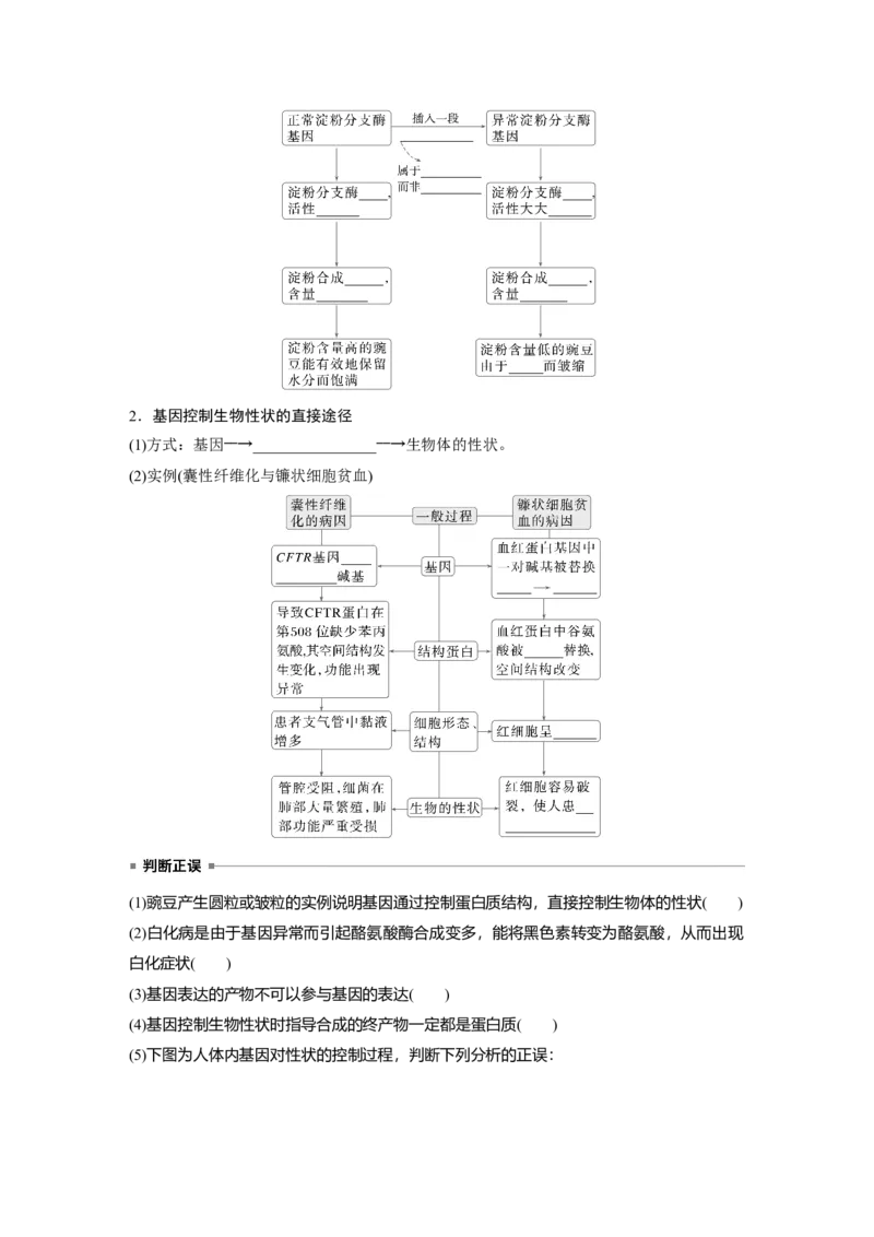 第六单元　第32课时　基因表达与性状的关系_2025年新高考资料_一轮复习_2025大一轮复习讲义+课件（完结）_2025大一轮复习讲义生物学生用书Word版文档整书_2025大一轮复习讲义