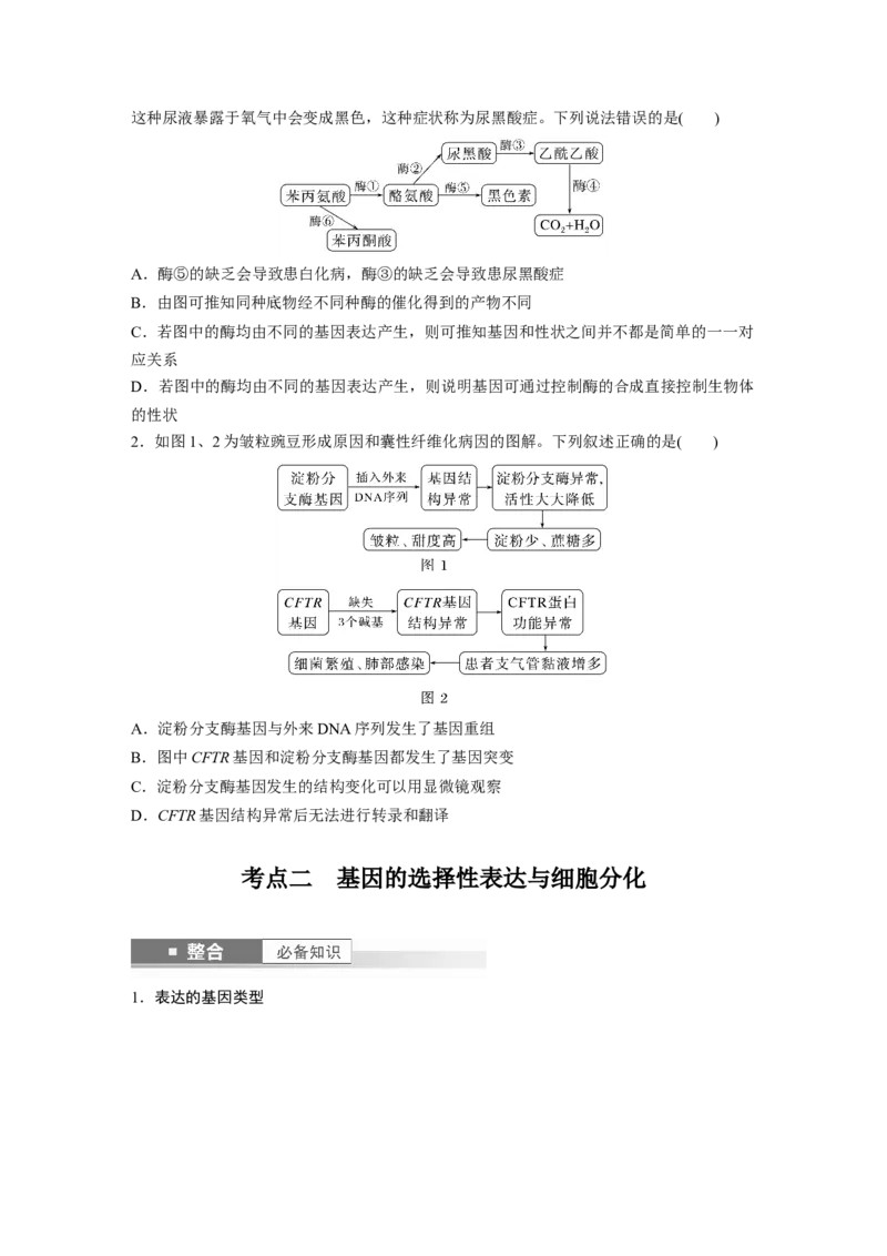第六单元　第32课时　基因表达与性状的关系_2025年新高考资料_一轮复习_2025大一轮复习讲义+课件（完结）_2025大一轮复习讲义生物学生用书Word版文档整书_2025大一轮复习讲义
