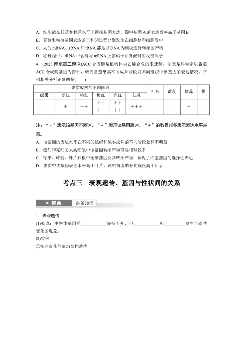 第六单元　第32课时　基因表达与性状的关系_2025年新高考资料_一轮复习_2025大一轮复习讲义+课件（完结）_2025大一轮复习讲义生物学生用书Word版文档整书_2025大一轮复习讲义