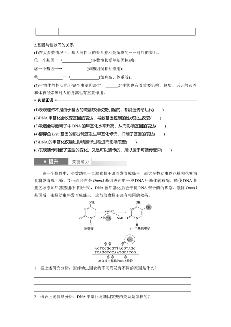 第六单元　第32课时　基因表达与性状的关系_2025年新高考资料_一轮复习_2025大一轮复习讲义+课件（完结）_2025大一轮复习讲义生物学生用书Word版文档整书_2025大一轮复习讲义
