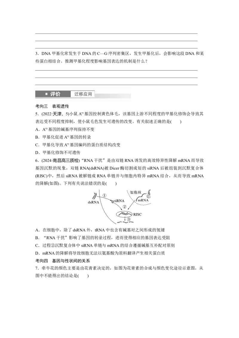 第六单元　第32课时　基因表达与性状的关系_2025年新高考资料_一轮复习_2025大一轮复习讲义+课件（完结）_2025大一轮复习讲义生物学生用书Word版文档整书_2025大一轮复习讲义