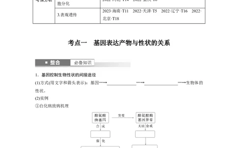 第六单元　第32课时　基因表达与性状的关系_2025年新高考资料_一轮复习_2025大一轮复习讲义+课件（完结）_2025大一轮复习讲义生物学生用书Word版文档整书_2025大一轮复习讲义