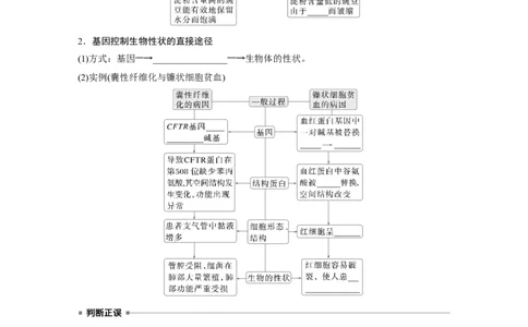 第六单元　第32课时　基因表达与性状的关系_2025年新高考资料_一轮复习_2025大一轮复习讲义+课件（完结）_2025大一轮复习讲义生物学生用书Word版文档整书_2025大一轮复习讲义