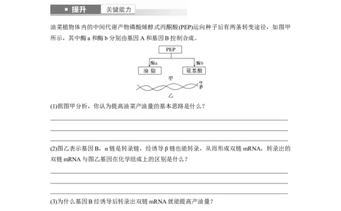 第六单元　第32课时　基因表达与性状的关系_2025年新高考资料_一轮复习_2025大一轮复习讲义+课件（完结）_2025大一轮复习讲义生物学生用书Word版文档整书_2025大一轮复习讲义
