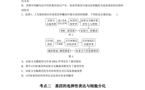 第六单元　第32课时　基因表达与性状的关系_2025年新高考资料_一轮复习_2025大一轮复习讲义+课件（完结）_2025大一轮复习讲义生物学生用书Word版文档整书_2025大一轮复习讲义