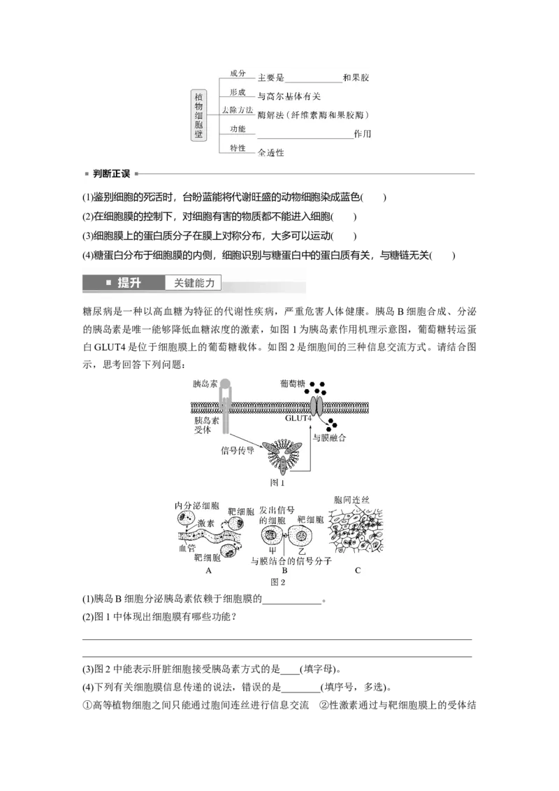 第二单元　第6课时　细胞膜与细胞核的结构和功能_2025年新高考资料_一轮复习_2025大一轮复习讲义+课件（完结）_2025大一轮复习讲义生物学生用书Word版文档整书_2025大一轮复习讲义