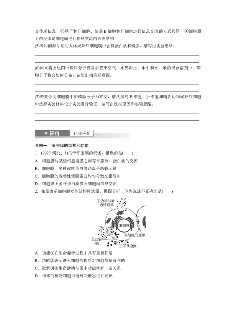 第二单元　第6课时　细胞膜与细胞核的结构和功能_2025年新高考资料_一轮复习_2025大一轮复习讲义+课件（完结）_2025大一轮复习讲义生物学生用书Word版文档整书_2025大一轮复习讲义