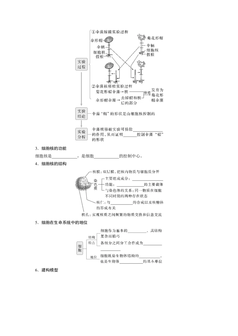 第二单元　第6课时　细胞膜与细胞核的结构和功能_2025年新高考资料_一轮复习_2025大一轮复习讲义+课件（完结）_2025大一轮复习讲义生物学生用书Word版文档整书_2025大一轮复习讲义