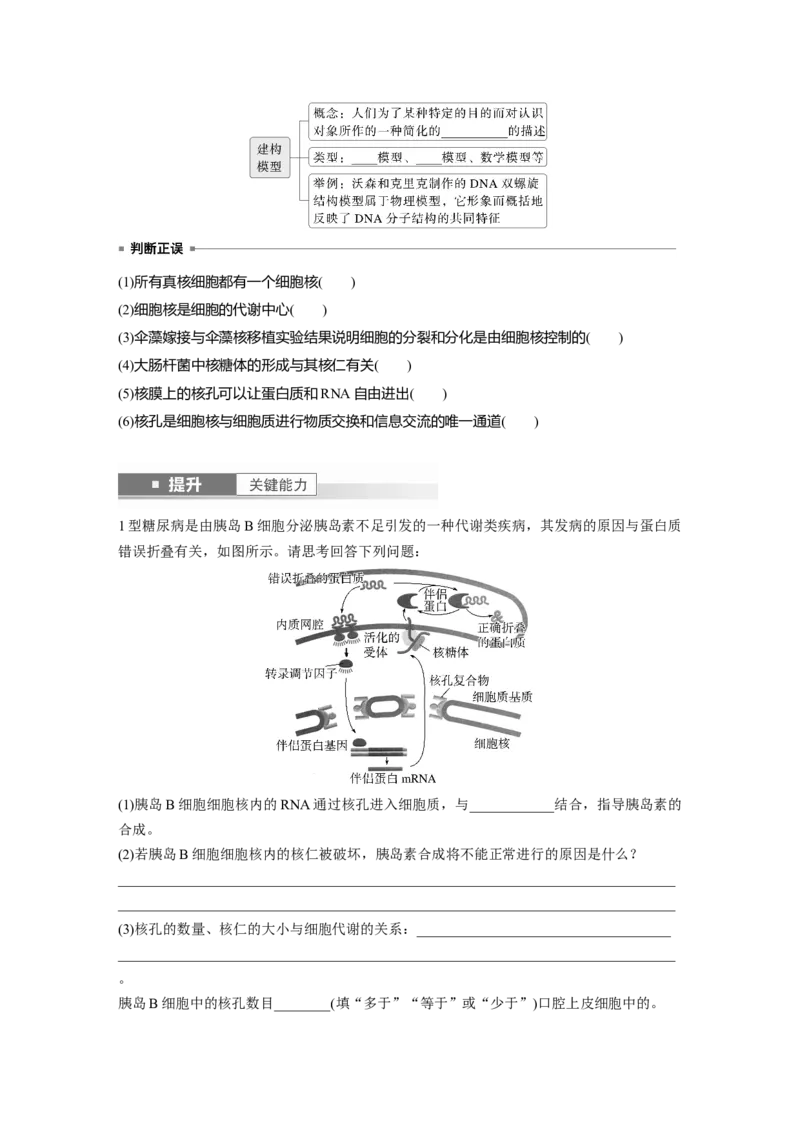 第二单元　第6课时　细胞膜与细胞核的结构和功能_2025年新高考资料_一轮复习_2025大一轮复习讲义+课件（完结）_2025大一轮复习讲义生物学生用书Word版文档整书_2025大一轮复习讲义