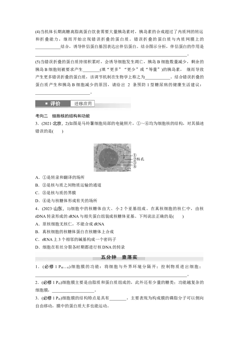 第二单元　第6课时　细胞膜与细胞核的结构和功能_2025年新高考资料_一轮复习_2025大一轮复习讲义+课件（完结）_2025大一轮复习讲义生物学生用书Word版文档整书_2025大一轮复习讲义
