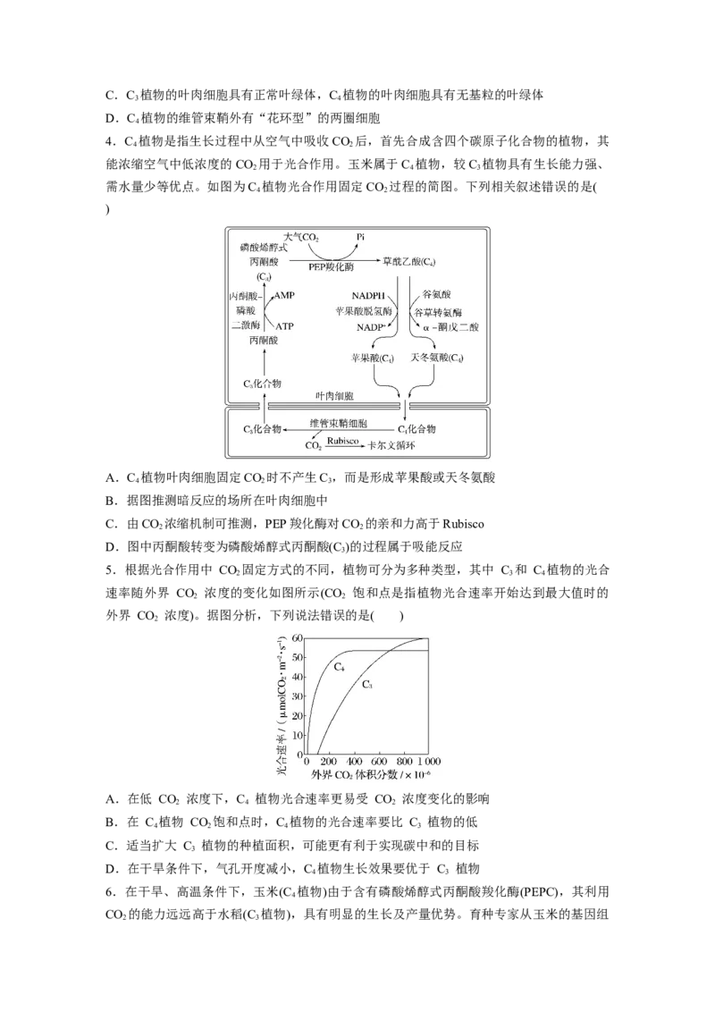 第三单元　专题突破2不同生物固定二氧化碳的方式比较_2025年新高考资料_一轮复习_2025大一轮复习讲义+课件（完结）_2025大一轮复习讲义生物学生用书Word版文档整书_2025一轮复习73练