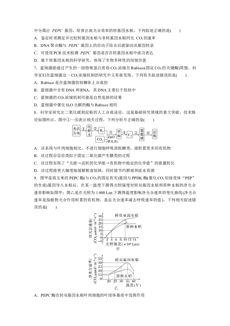 第三单元　专题突破2不同生物固定二氧化碳的方式比较_2025年新高考资料_一轮复习_2025大一轮复习讲义+课件（完结）_2025大一轮复习讲义生物学生用书Word版文档整书_2025一轮复习73练