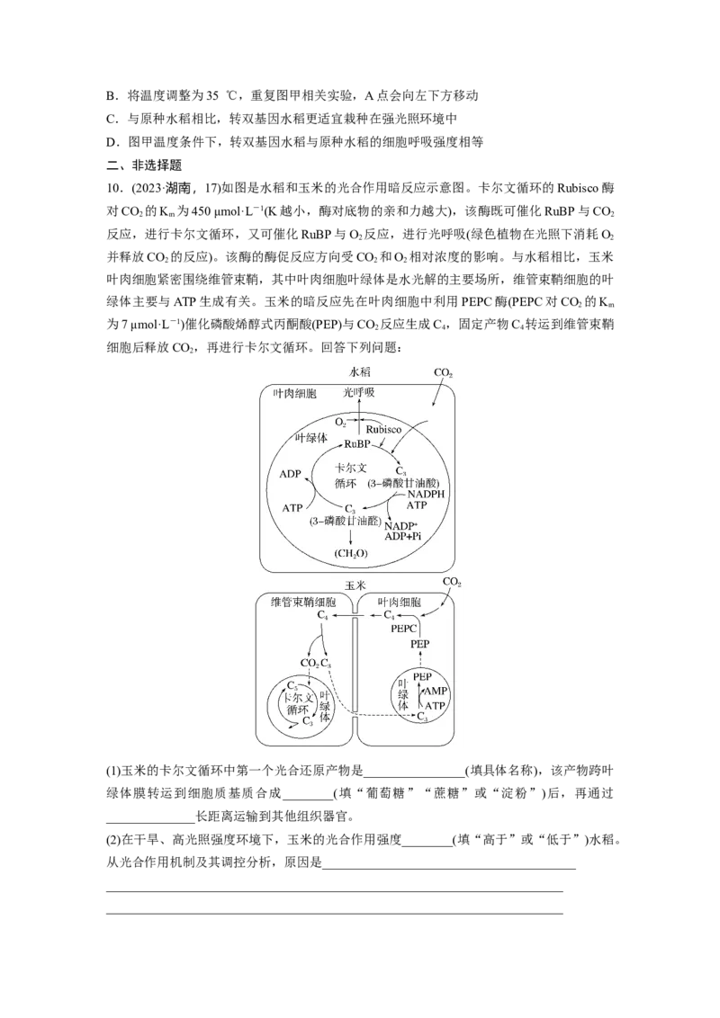 第三单元　专题突破2不同生物固定二氧化碳的方式比较_2025年新高考资料_一轮复习_2025大一轮复习讲义+课件（完结）_2025大一轮复习讲义生物学生用书Word版文档整书_2025一轮复习73练