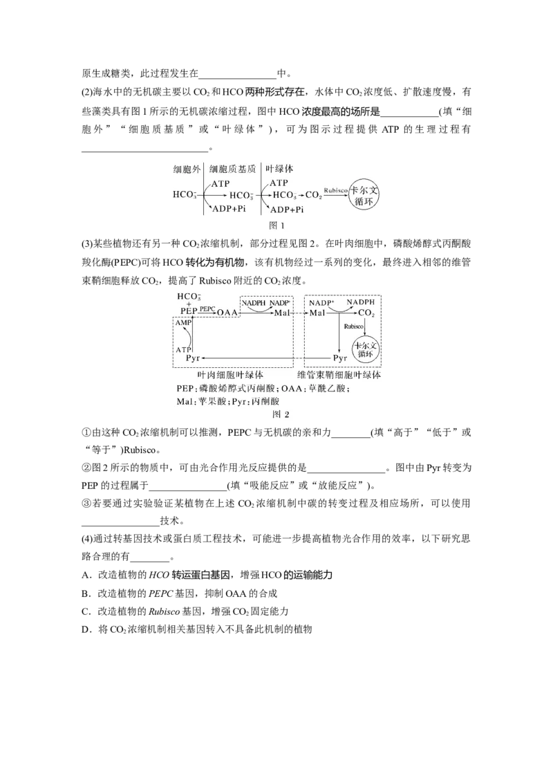第三单元　专题突破2不同生物固定二氧化碳的方式比较_2025年新高考资料_一轮复习_2025大一轮复习讲义+课件（完结）_2025大一轮复习讲义生物学生用书Word版文档整书_2025一轮复习73练