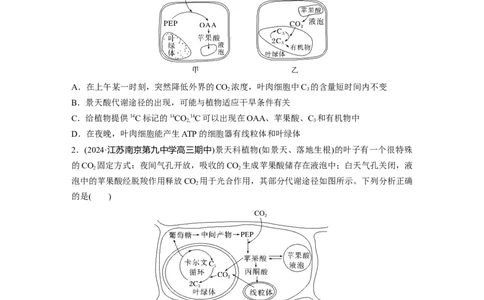 第三单元　专题突破2不同生物固定二氧化碳的方式比较_2025年新高考资料_一轮复习_2025大一轮复习讲义+课件（完结）_2025大一轮复习讲义生物学生用书Word版文档整书_2025一轮复习73练