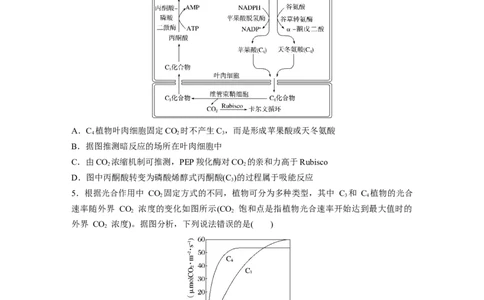 第三单元　专题突破2不同生物固定二氧化碳的方式比较_2025年新高考资料_一轮复习_2025大一轮复习讲义+课件（完结）_2025大一轮复习讲义生物学生用书Word版文档整书_2025一轮复习73练