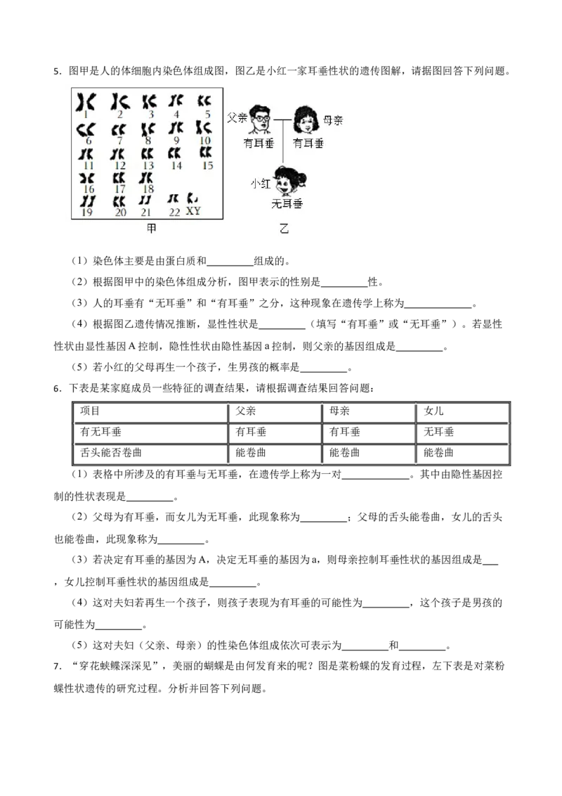 2024年中考生物读图理解专题复习：生物的遗传与变异（含答案）_6生物中考复习_2024年中考复习资料_二轮复习_备考2024中考生物二轮复习读图理解精练