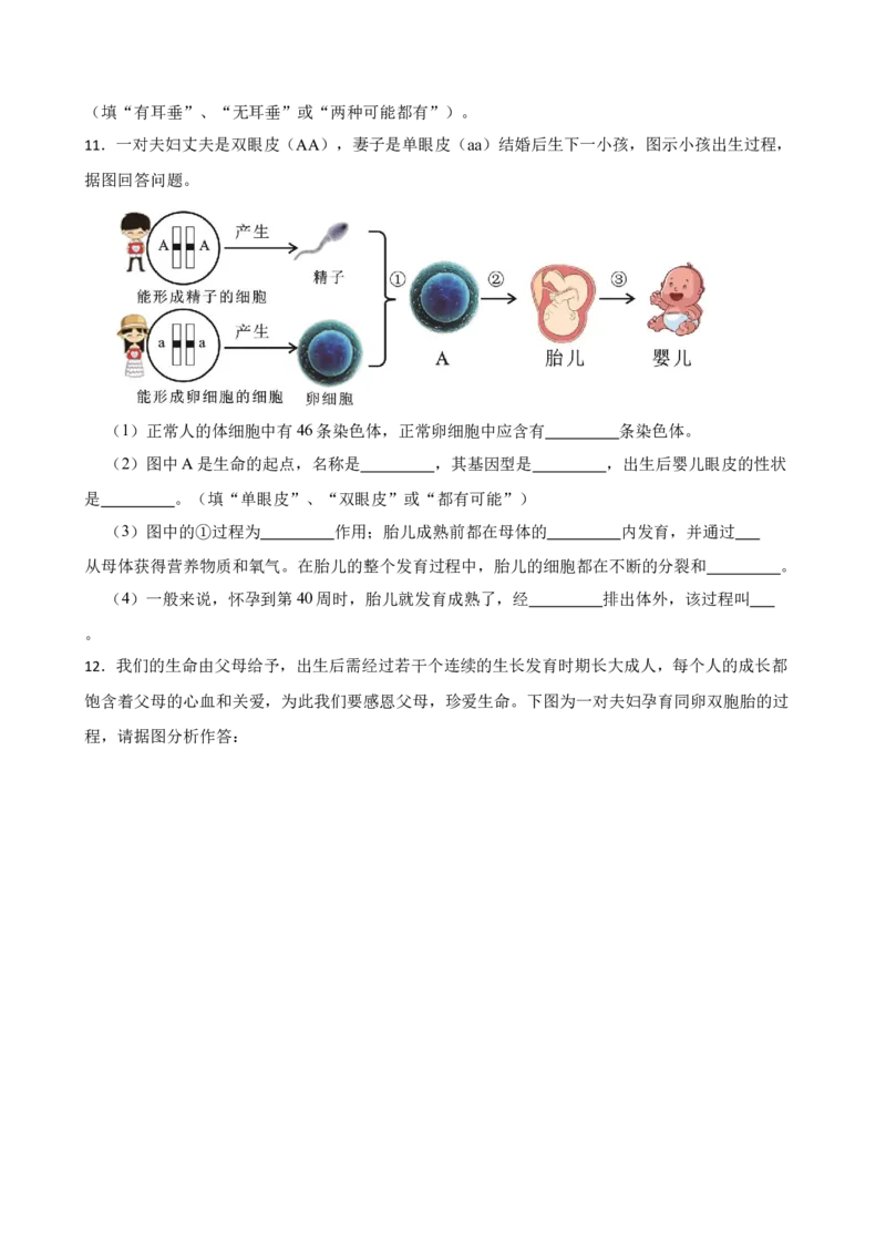2024年中考生物读图理解专题复习：生物的遗传与变异（含答案）_6生物中考复习_2024年中考复习资料_二轮复习_备考2024中考生物二轮复习读图理解精练