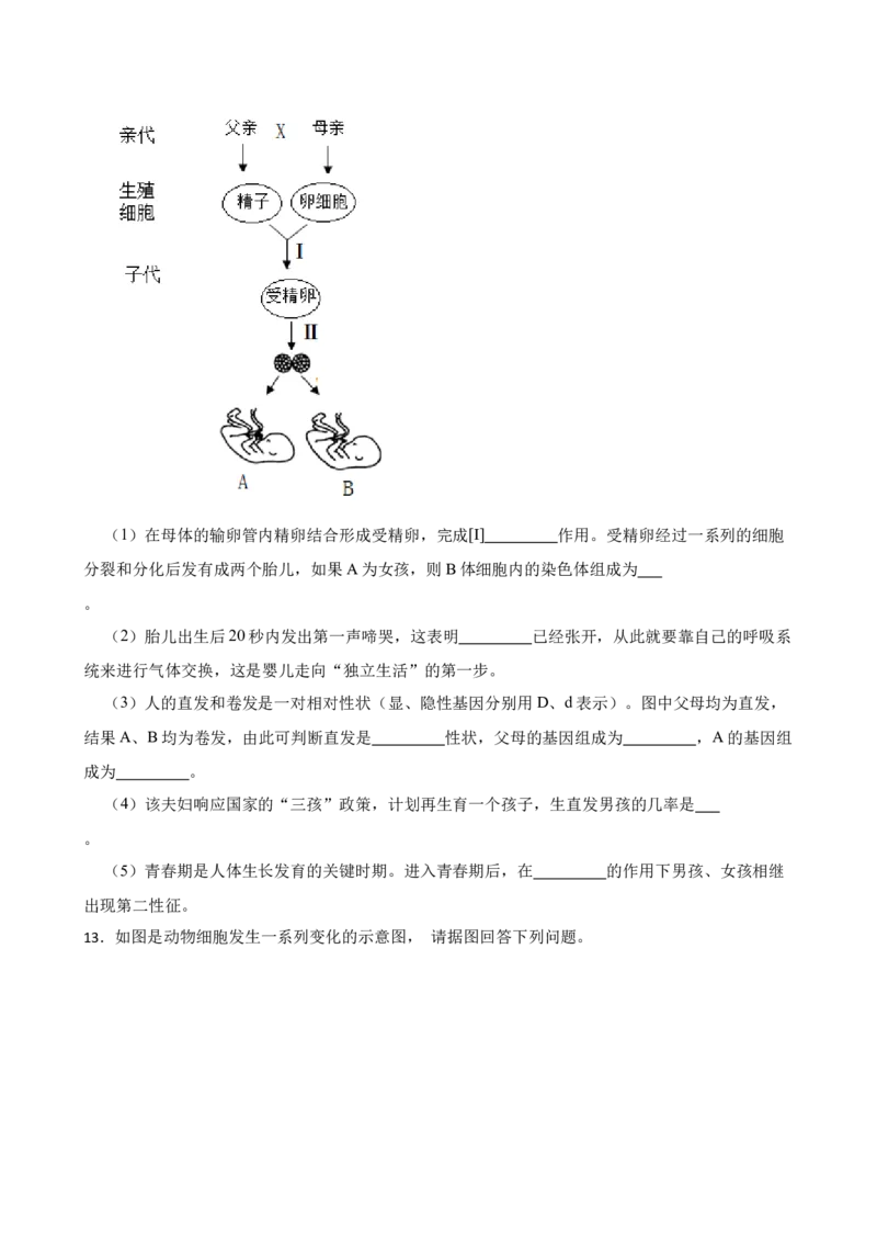 2024年中考生物读图理解专题复习：生物的遗传与变异（含答案）_6生物中考复习_2024年中考复习资料_二轮复习_备考2024中考生物二轮复习读图理解精练
