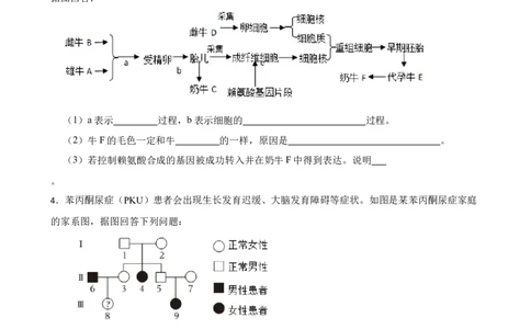 2024年中考生物读图理解专题复习：生物的遗传与变异（含答案）_6生物中考复习_2024年中考复习资料_二轮复习_备考2024中考生物二轮复习读图理解精练