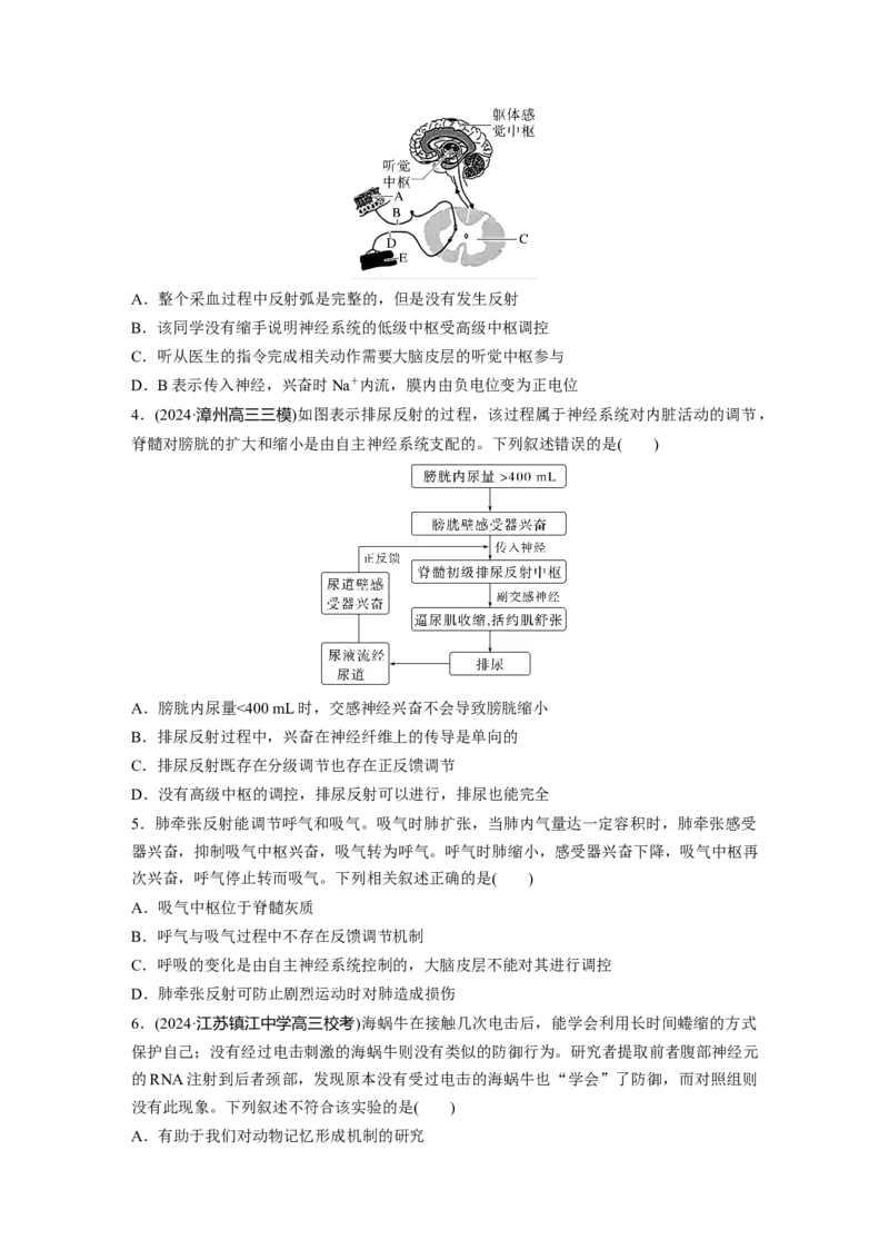 第八单元　课时练39　神经系统的分级调节及人脑的高级功能_2025年新高考资料_一轮复习_2025大一轮复习讲义+课件（完结）_2025大一轮复习讲义生物学生用书Word版文档整书