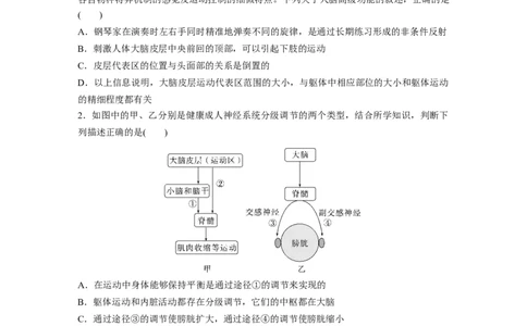 第八单元　课时练39　神经系统的分级调节及人脑的高级功能_2025年新高考资料_一轮复习_2025大一轮复习讲义+课件（完结）_2025大一轮复习讲义生物学生用书Word版文档整书