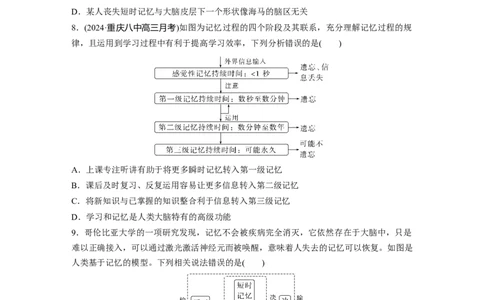 第八单元　课时练39　神经系统的分级调节及人脑的高级功能_2025年新高考资料_一轮复习_2025大一轮复习讲义+课件（完结）_2025大一轮复习讲义生物学生用书Word版文档整书