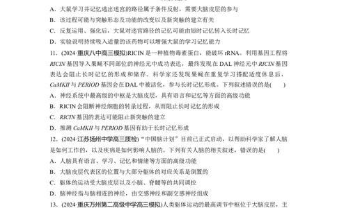 第八单元　课时练39　神经系统的分级调节及人脑的高级功能_2025年新高考资料_一轮复习_2025大一轮复习讲义+课件（完结）_2025大一轮复习讲义生物学生用书Word版文档整书
