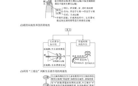 第一篇专题六考点三　植物个体的激素调节_通用版（老高考）复习资料_2023年复习资料_二轮复习_2023年高考生物二轮复习讲义+课件（全国版）_2023年高考生物二轮复习讲义（全国版）