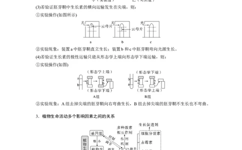 第一篇专题六考点三　植物个体的激素调节_通用版（老高考）复习资料_2023年复习资料_二轮复习_2023年高考生物二轮复习讲义+课件（全国版）_2023年高考生物二轮复习讲义（全国版）