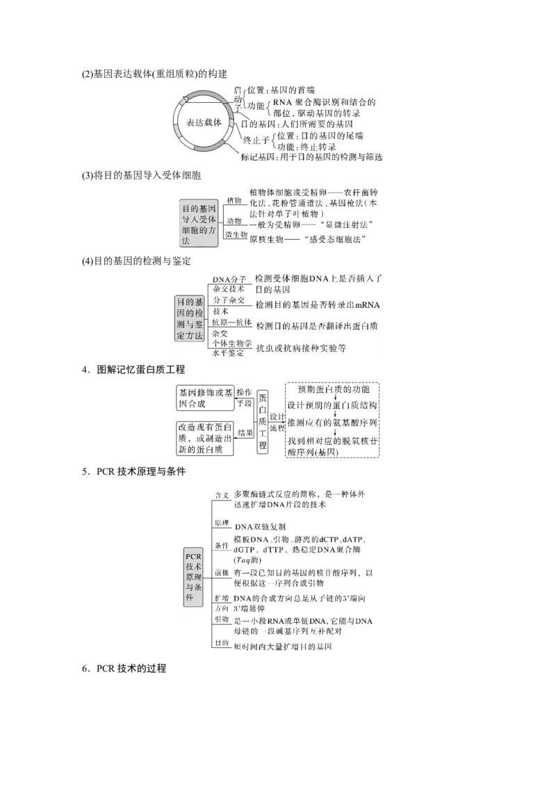 第一篇专题九考点一　基因工程(含PCR技术与应用)_通用版（老高考）复习资料_2023年复习资料_二轮复习_2023年高考生物二轮复习讲义+课件（全国版）_学生版_大二轮专题复习讲义