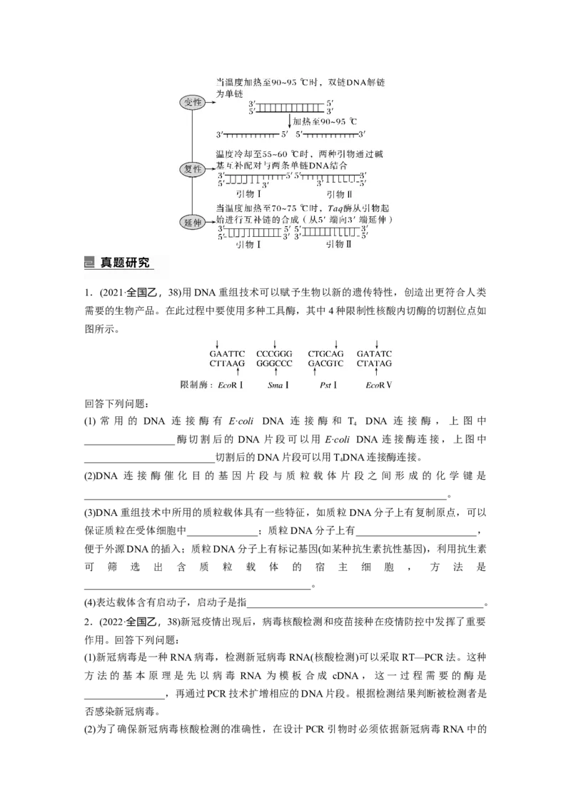 第一篇专题九考点一　基因工程(含PCR技术与应用)_通用版（老高考）复习资料_2023年复习资料_二轮复习_2023年高考生物二轮复习讲义+课件（全国版）_学生版_大二轮专题复习讲义