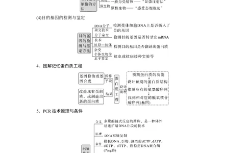 第一篇专题九考点一　基因工程(含PCR技术与应用)_通用版（老高考）复习资料_2023年复习资料_二轮复习_2023年高考生物二轮复习讲义+课件（全国版）_学生版_大二轮专题复习讲义