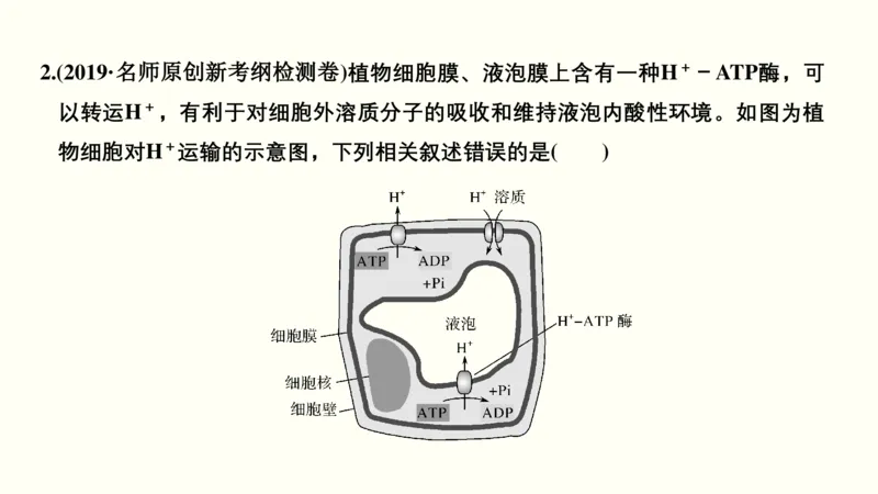 第二单元物质运输、酶与ATP（教案）_新高考复习资料_2022年新高考复习资料_2022届一轮复习讲练结合7.13更新_系列一_第二单元物质运输、酶与ATP
