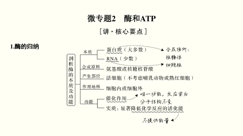 第二单元物质运输、酶与ATP（教案）_新高考复习资料_2022年新高考复习资料_2022届一轮复习讲练结合7.13更新_系列一_第二单元物质运输、酶与ATP