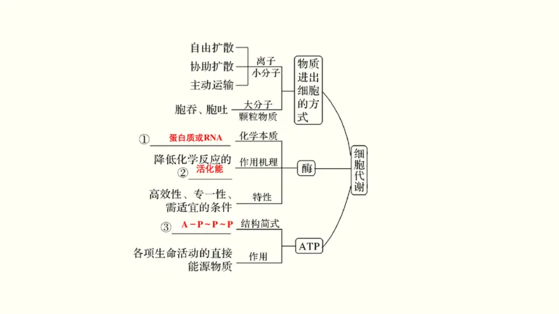 第二单元物质运输、酶与ATP（教案）_新高考复习资料_2022年新高考复习资料_2022届一轮复习讲练结合7.13更新_系列一_第二单元物质运输、酶与ATP