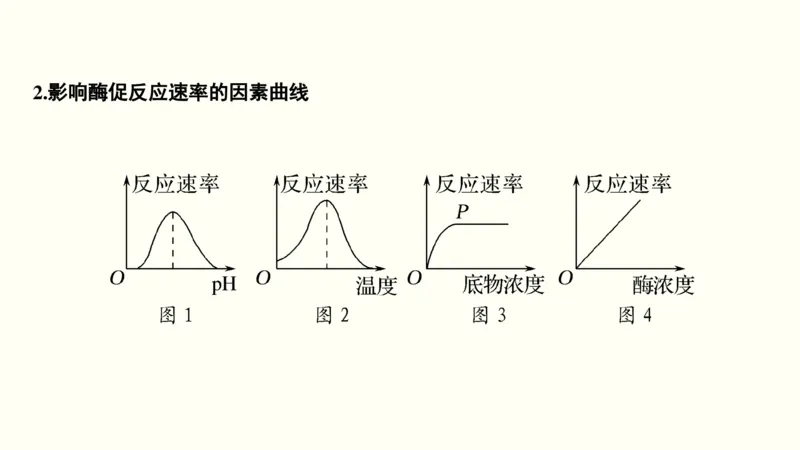 第二单元物质运输、酶与ATP（教案）_新高考复习资料_2022年新高考复习资料_2022届一轮复习讲练结合7.13更新_系列一_第二单元物质运输、酶与ATP