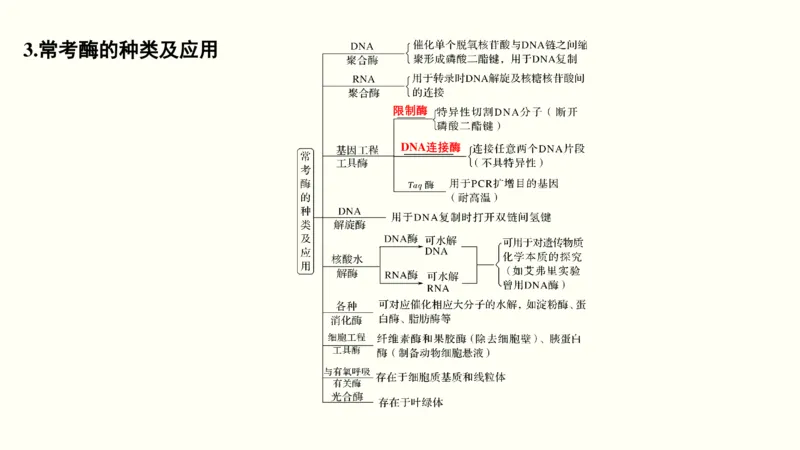 第二单元物质运输、酶与ATP（教案）_新高考复习资料_2022年新高考复习资料_2022届一轮复习讲练结合7.13更新_系列一_第二单元物质运输、酶与ATP