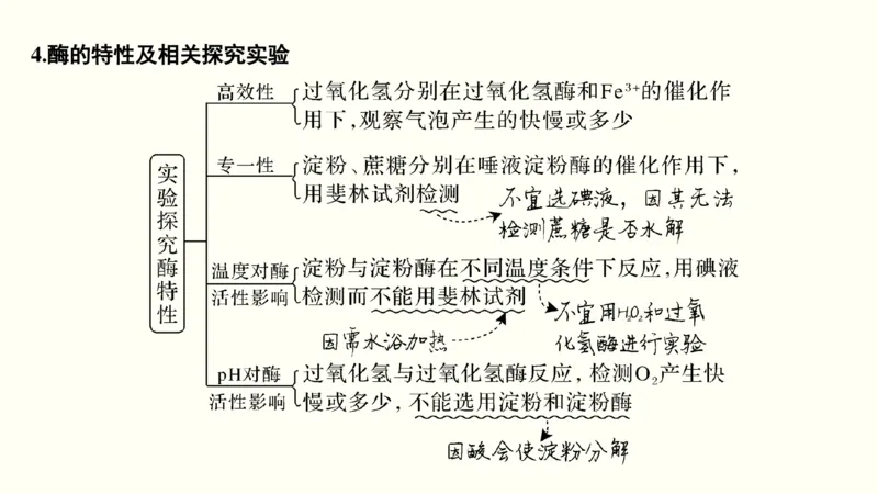 第二单元物质运输、酶与ATP（教案）_新高考复习资料_2022年新高考复习资料_2022届一轮复习讲练结合7.13更新_系列一_第二单元物质运输、酶与ATP