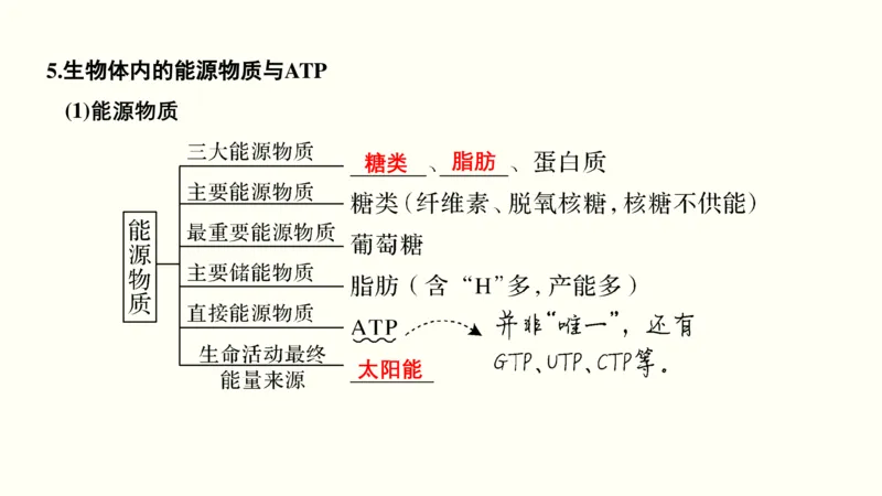 第二单元物质运输、酶与ATP（教案）_新高考复习资料_2022年新高考复习资料_2022届一轮复习讲练结合7.13更新_系列一_第二单元物质运输、酶与ATP