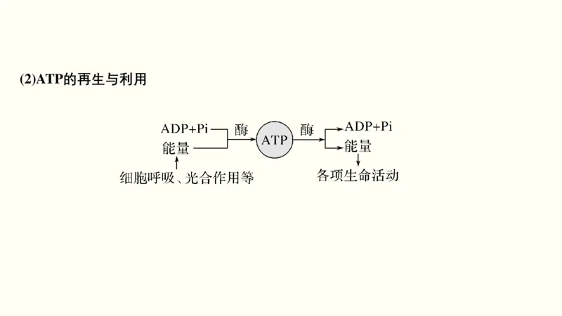 第二单元物质运输、酶与ATP（教案）_新高考复习资料_2022年新高考复习资料_2022届一轮复习讲练结合7.13更新_系列一_第二单元物质运输、酶与ATP