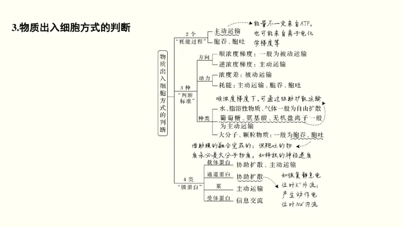 第二单元物质运输、酶与ATP（教案）_新高考复习资料_2022年新高考复习资料_2022届一轮复习讲练结合7.13更新_系列一_第二单元物质运输、酶与ATP