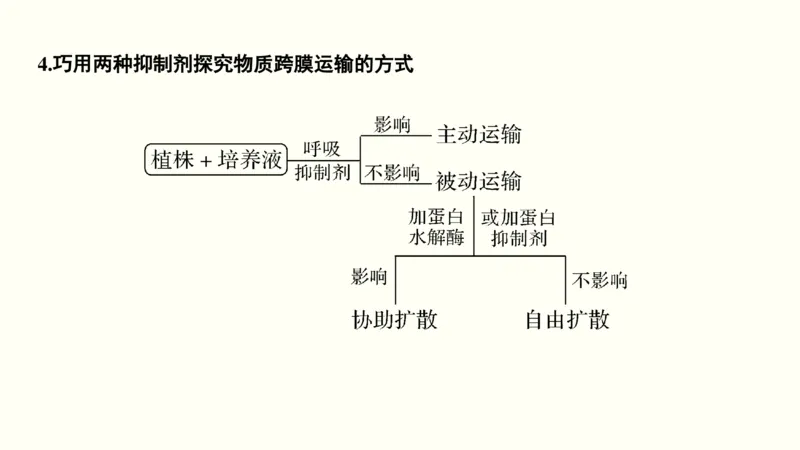 第二单元物质运输、酶与ATP（教案）_新高考复习资料_2022年新高考复习资料_2022届一轮复习讲练结合7.13更新_系列一_第二单元物质运输、酶与ATP